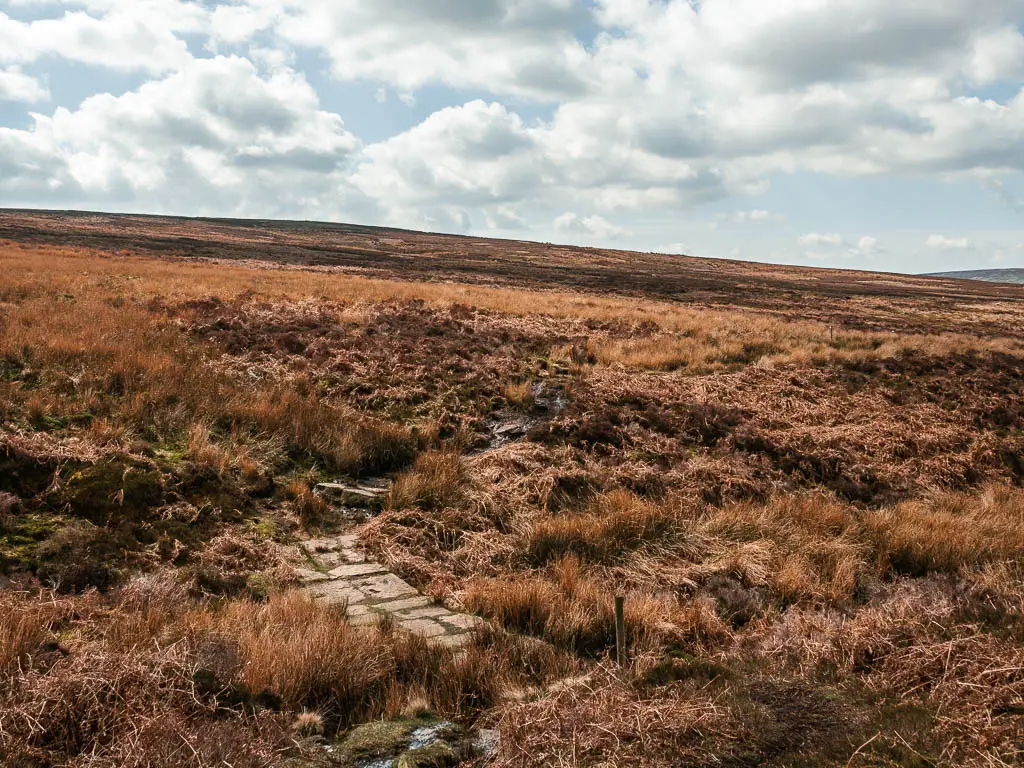 A stone walkway through the bog, heather and tall grass in shades of brown and orange.