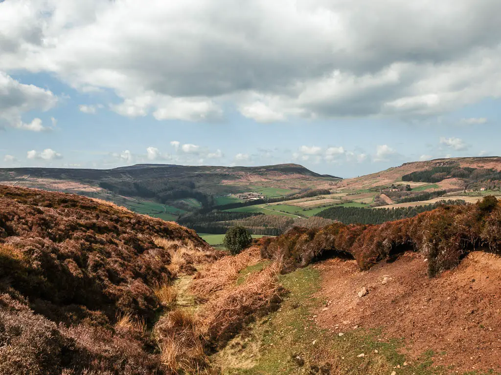 Looking along a ditch filled with Heather, towards the valley and hills in the distance. 