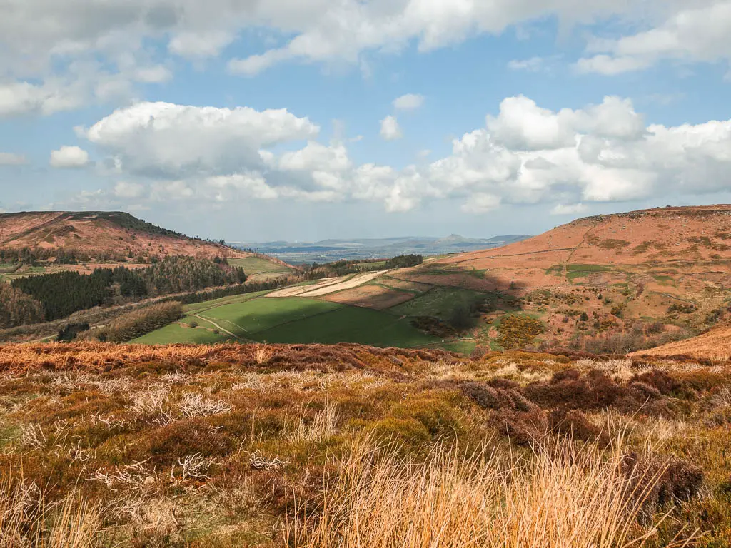 Looking across the heather in shades of green and brown to the valley below, on the circular walk back from the Wainstones. The Valley is surround by hills.