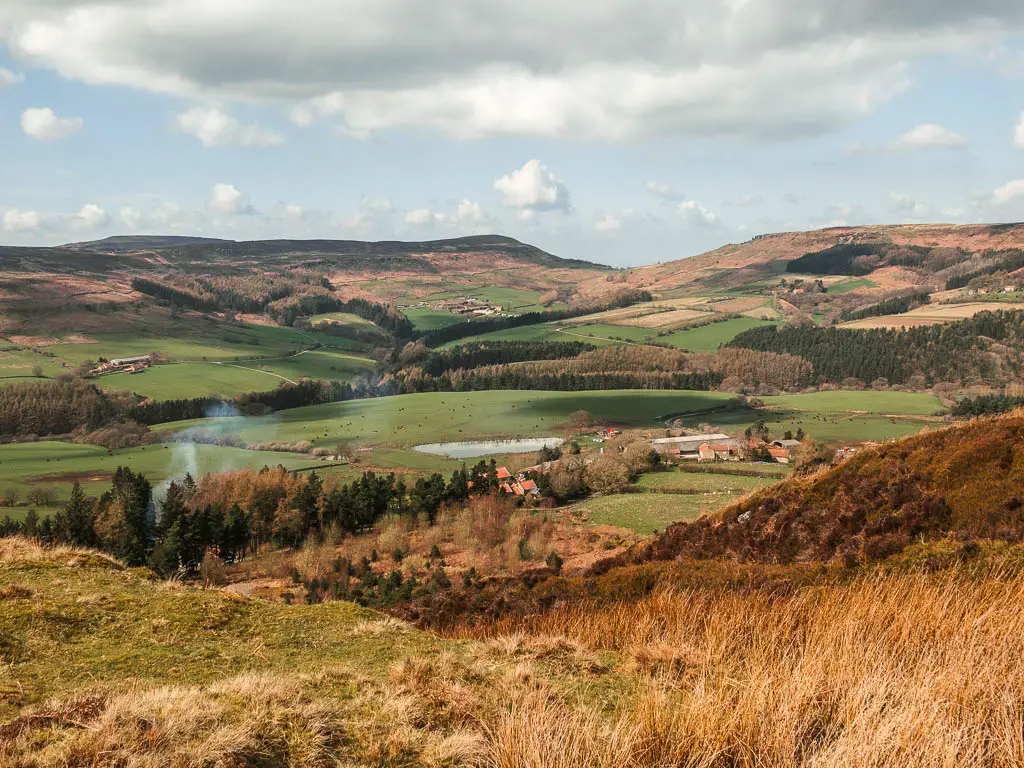 Looking down into the valley and a village below, and groups of trees all around, on the circular walk back from the Wainstones. 