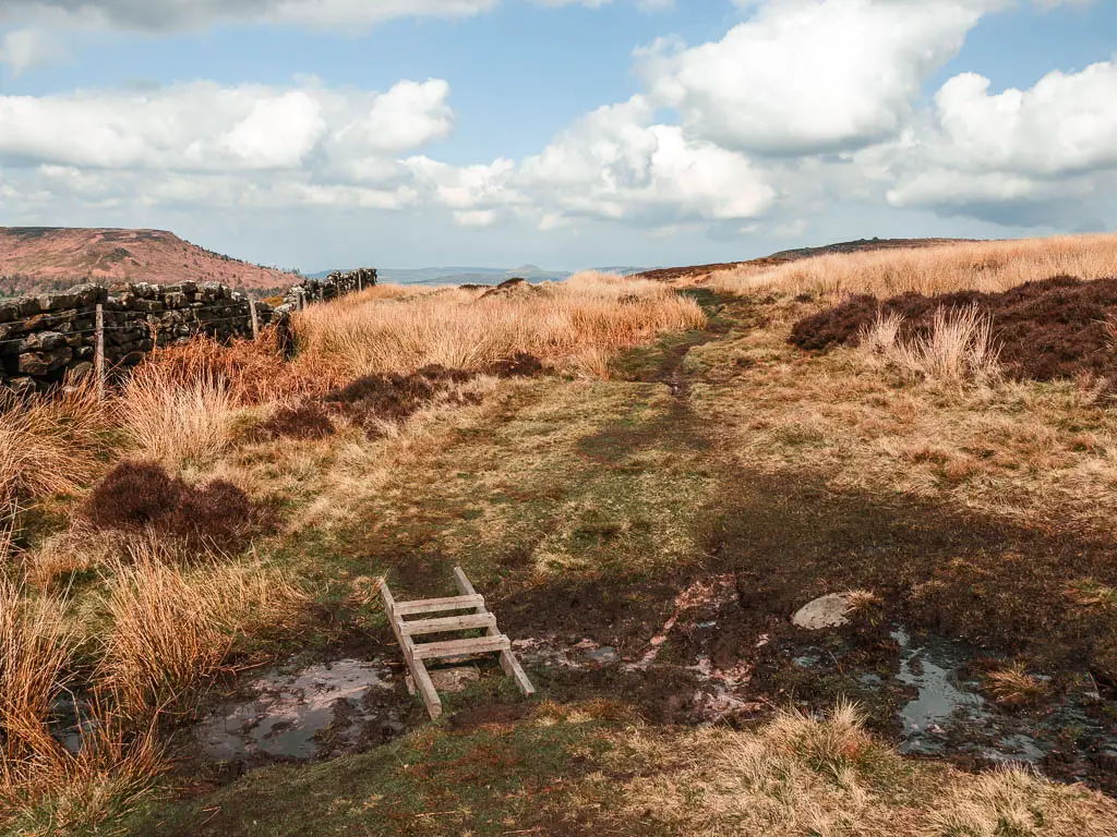 A small step ladder across a boggy patch in the ground.