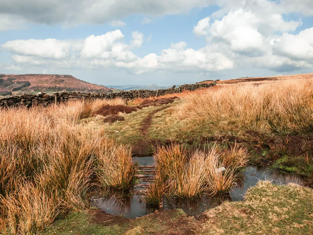 A big puddle and mass of bog, with a partially sunken step ladder through it.