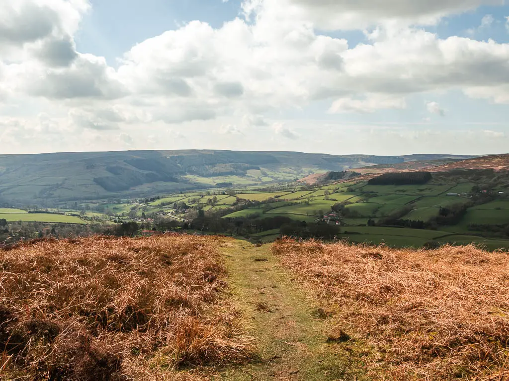 A grass trail leading straight and disappearing down the hill, with a view into the valley below in various shades of green. 