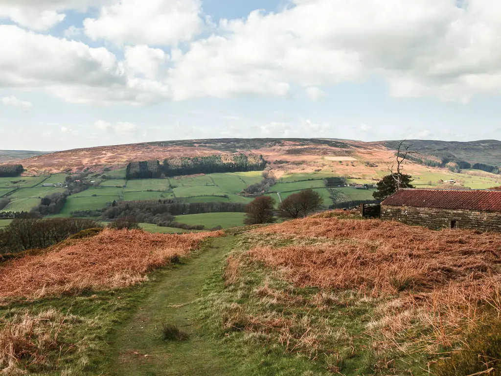 A grass trail leading straight, surrounded by orange hay grass, with a view to the valley and hill on the other side, which is covered in green grass fields.