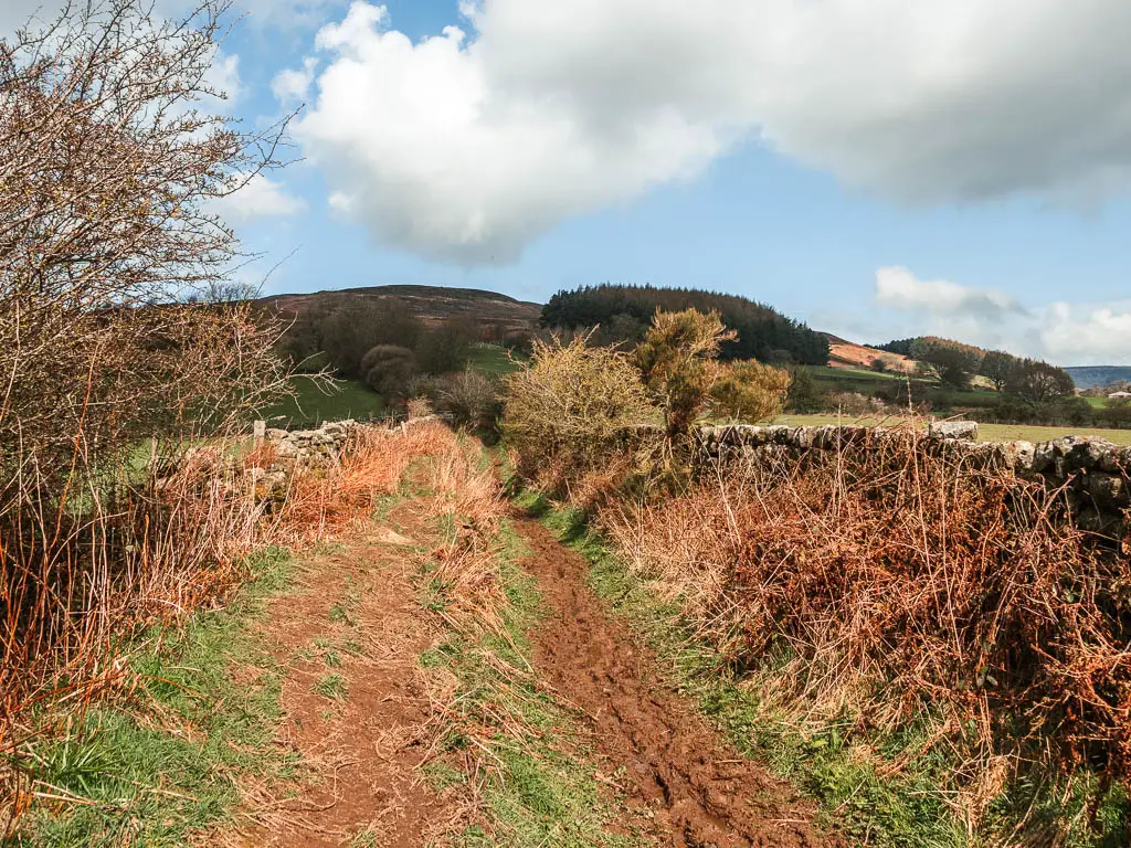 A strip of muddy trail in ditch with a stone wall on the right.