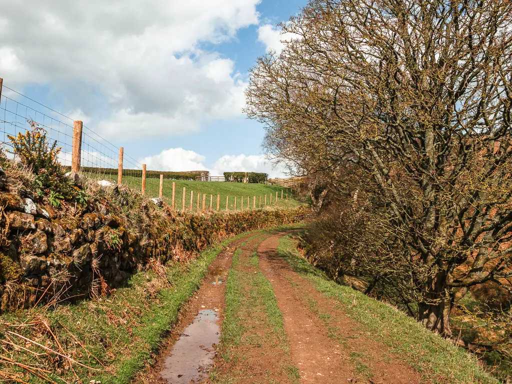 A muddy dirt track with a tone wall on the left, and leafless trees on the right.