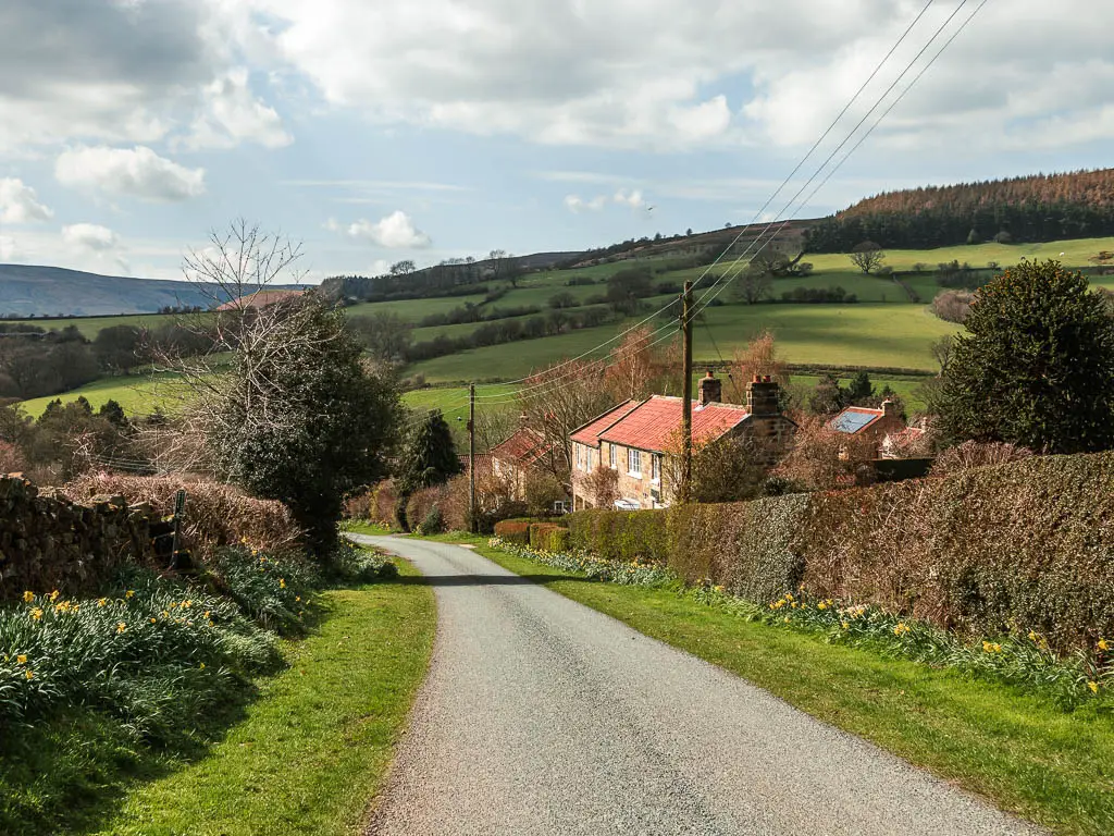 A road leading down and curving to the left. the road is lined with neatly cut grass, and a neat hedge to the right, and stone wall to the left. There are some cottages on the right side behind. the hedge. 