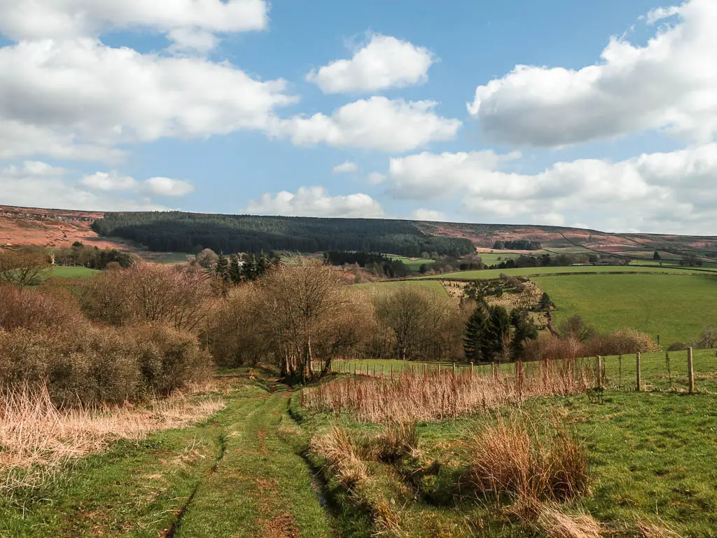 Looking down along the grass trail to some leafless trees below, and a hill rising up on the other side, near the end of the Wainstones circular walk.