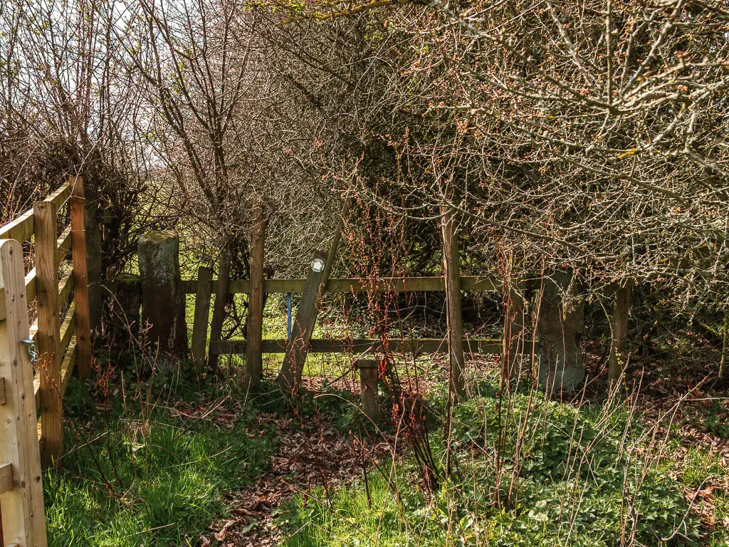 A wooden style hidden under the bushes and trees.