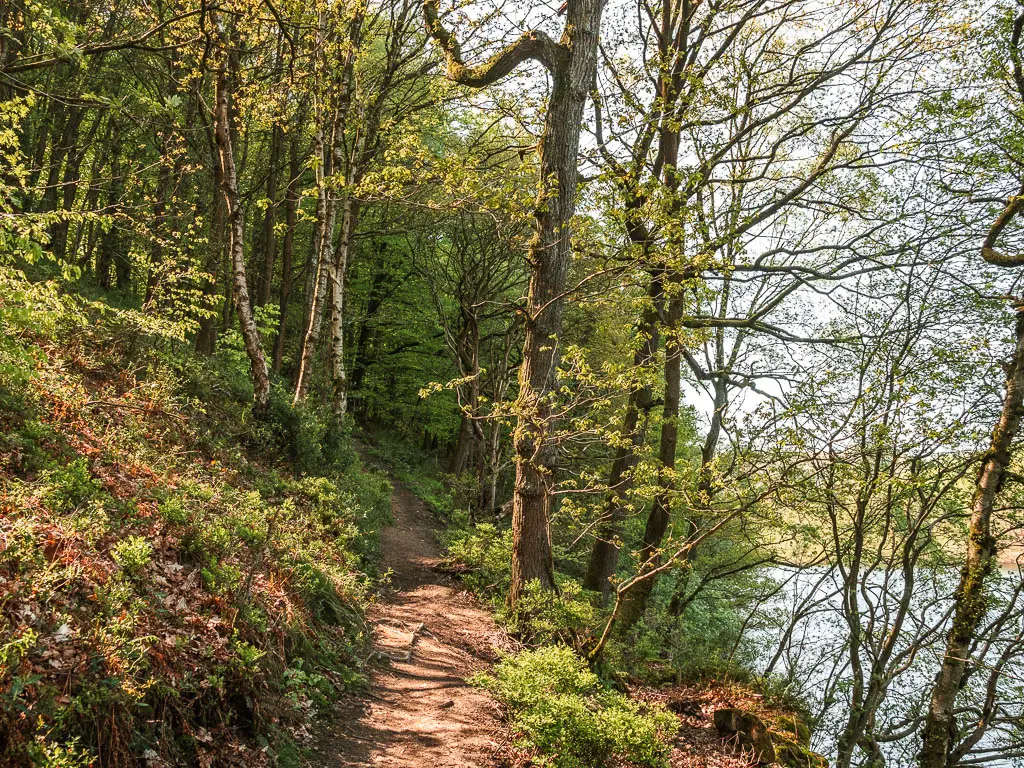 A dirt trail surround by trees, with a hill bank on the left and reservoir to the right.