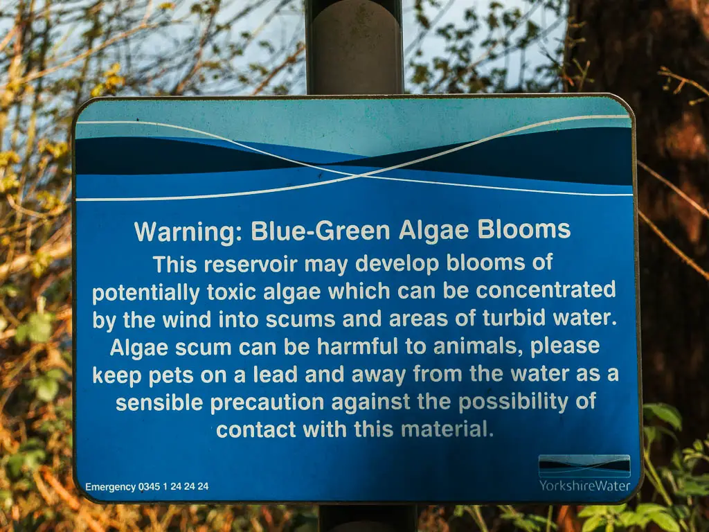 A blue sign warning of Blue-Green Algae in the reservoir.
