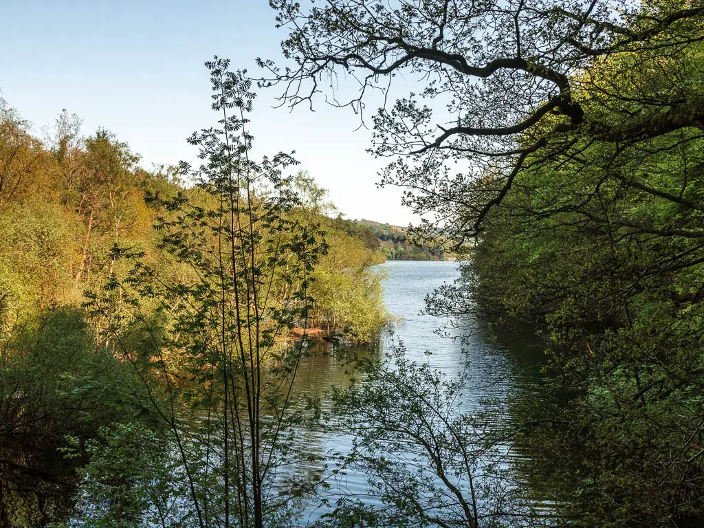 A thin stip of the Agden reservoir, on the circular walk around it. The reservoir is surrounded by green bushy trees.