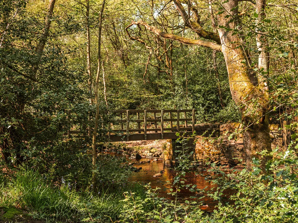 A wooden bridge over the stream of water, surround by green leaved bushes and trees.