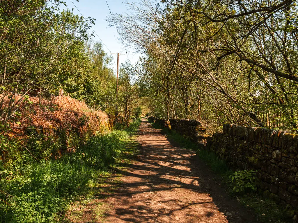 A wide dirt path with a hedge on the left and stone wall on the right.