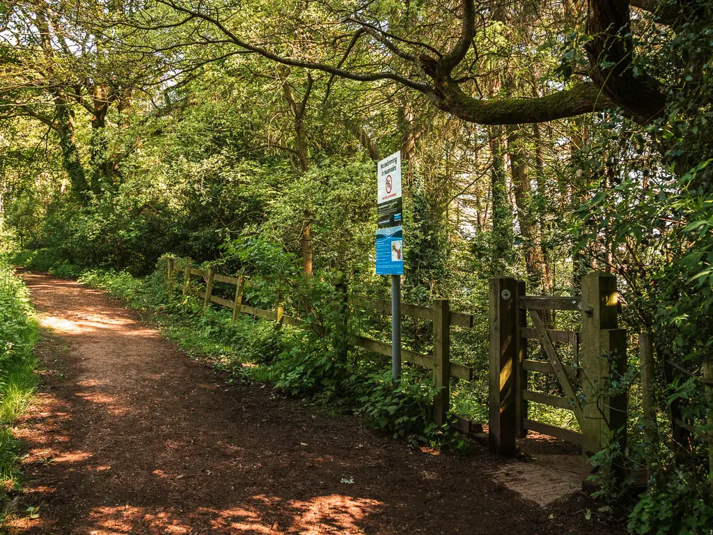 A dirt trail leading g to the left and a green leafed covered fence to the right, with a wooden gate.