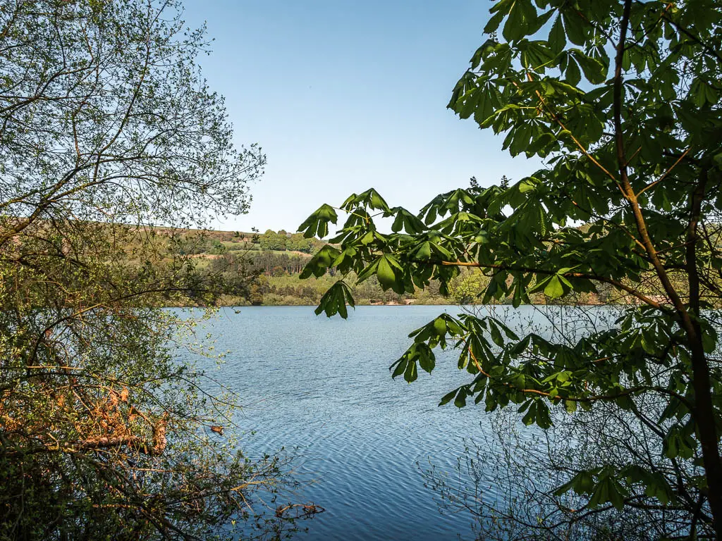 Looking through a gap in the green leaved tree branches, to the blue water of the Agden Reservoir, near the start of the walk.