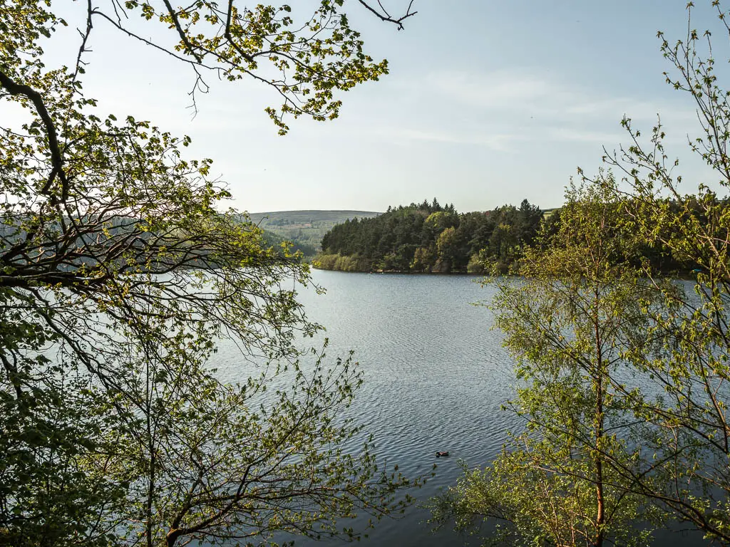 Looking through a gap in the tree branches to the water of Agden Reservoir, part way through the circular walk around it. The branches shave green leaves. there is green woodland trees son the other side of the reservoir.