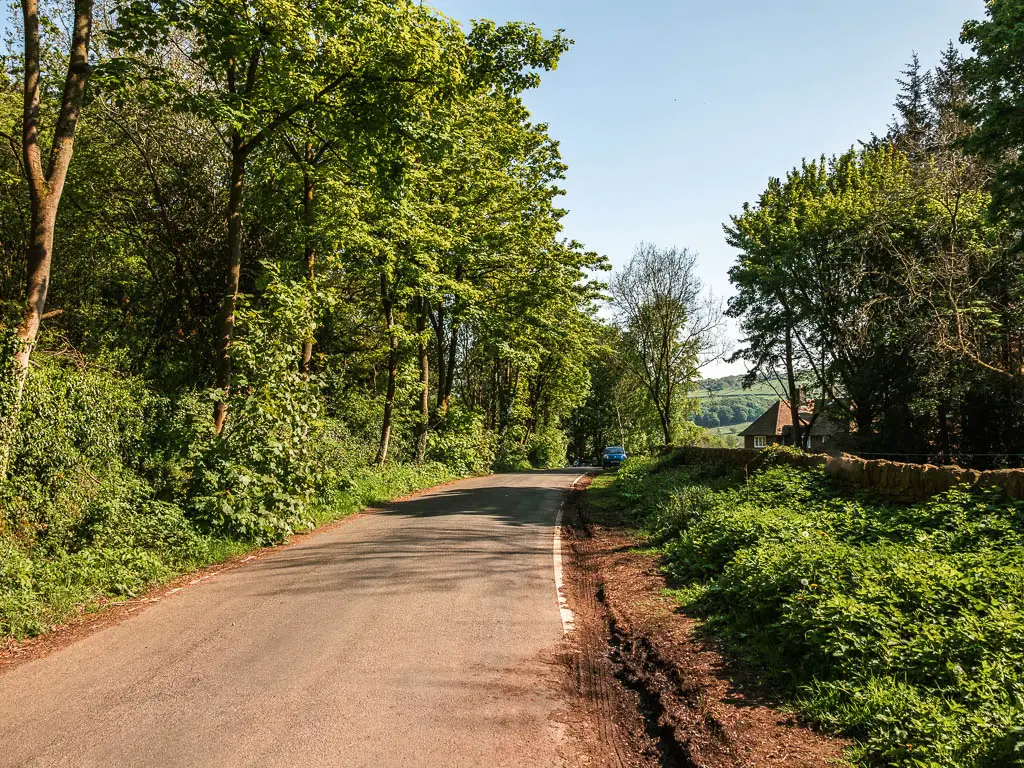 A road lined with green bushes and trees.