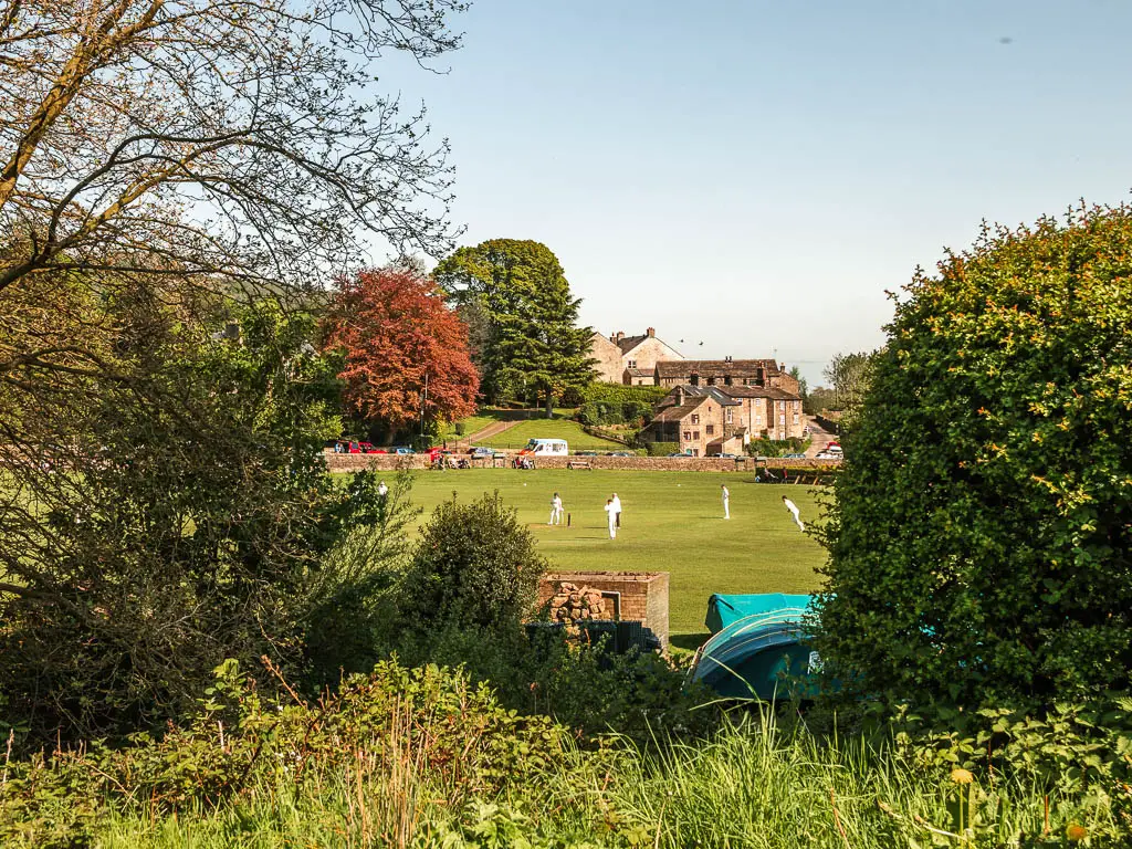 Looking through a gap in the bushes and hedges to a field of people dressed in white, playing cricket.