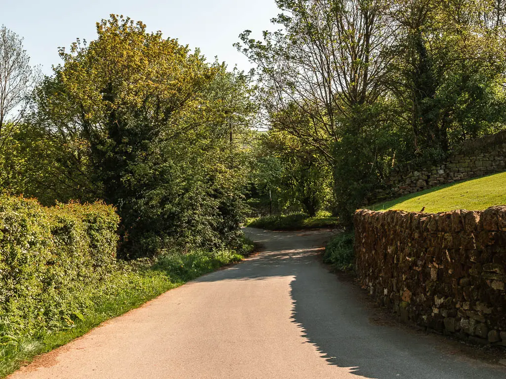 A road leading straight, with a stone wall on the right and green hedge and bushes on the left.
