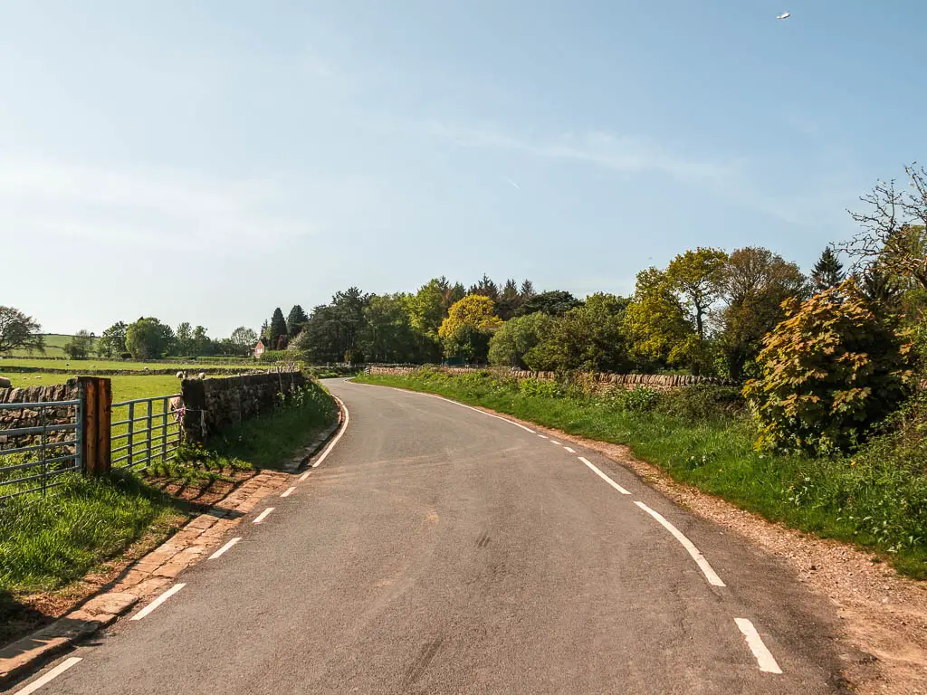 A road curving ahead to the left, lined with gras banks, bushes and a stone wall.