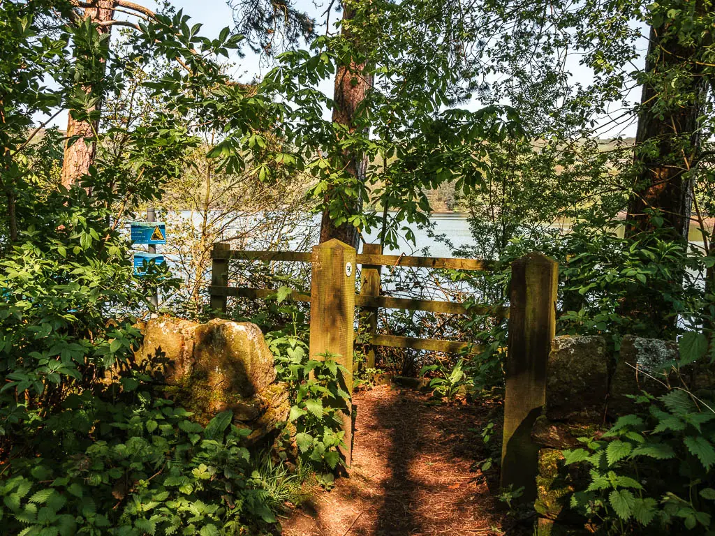 The entrance in the wall, leading to the reservoir. The wall and entrance is engulfed by green leafy bushes.