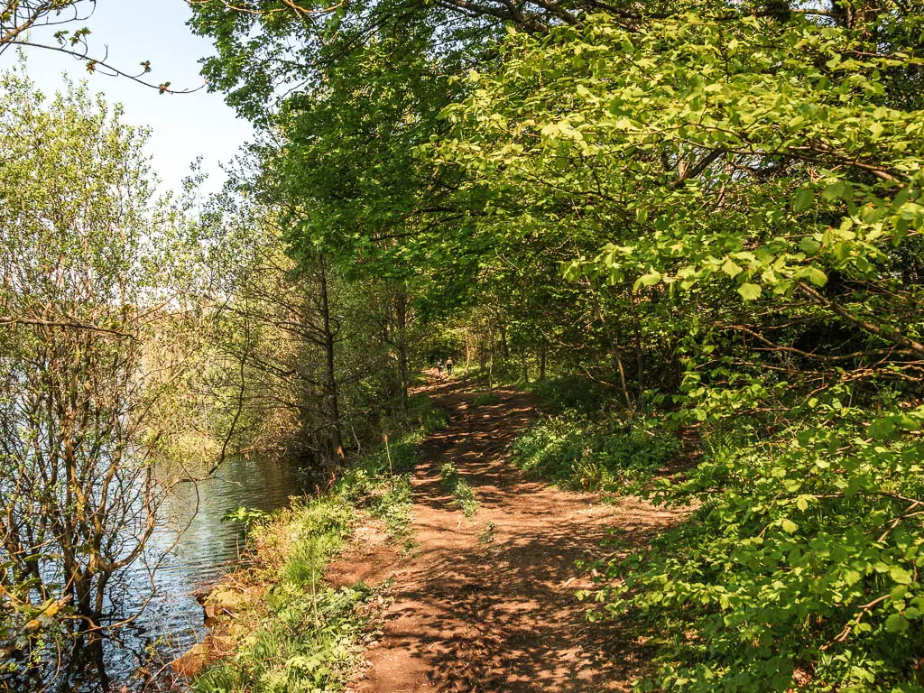 A dirt trail, with a mass of green leaves of the trees and bushes on the right, and the reservoir water just visible to the left.