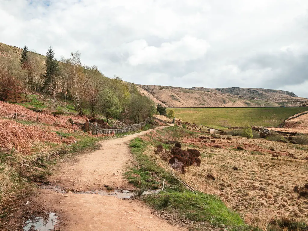 A wide dirt trail with a hill bank on the left and wild grass on the right.