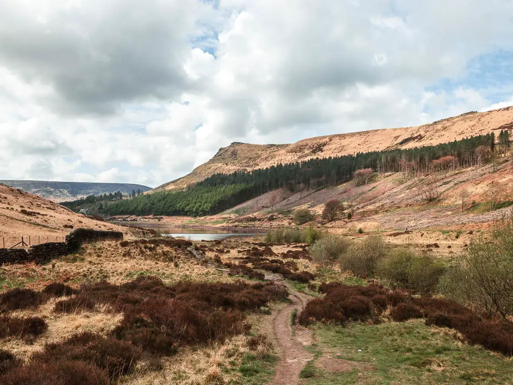 Looking along a narrow dirt trail across the more, with a view of Yeoman Hay reservoir ahead, halfway through the walk. There is a big hill in the distance with lots of trees on it.