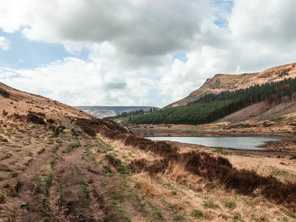 A rugged dirt trail on the grass leading straight ahead, with the reservoir to the right, and a tree covered hill on the other side, on the circular walk back to Dovestone.