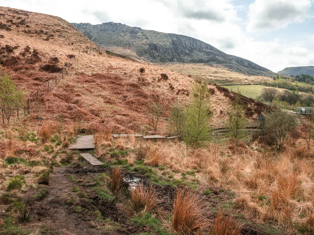 A muddy patch of ground with patches of grass and a wooden plank walkway.