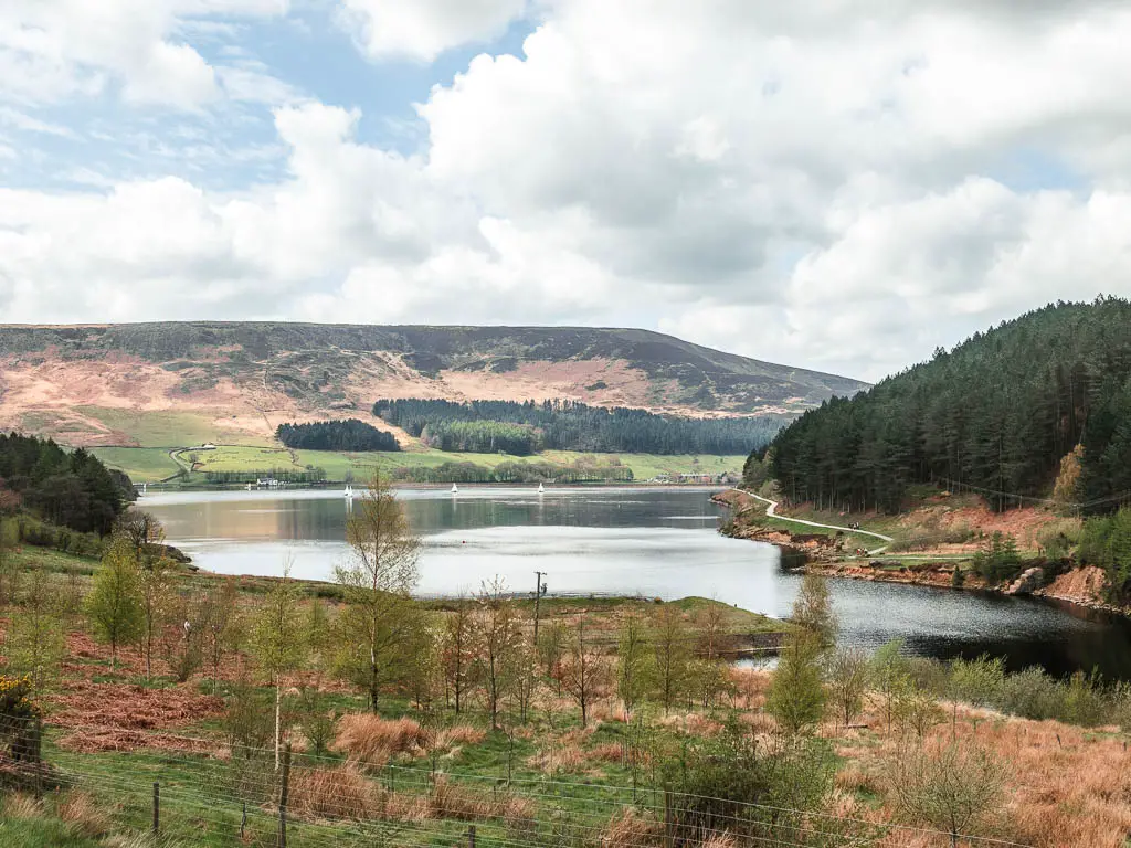 Looking down across the grassy area with a few small trees, with the reservoir ahead.