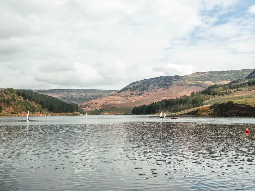 Looking across the vast water of dovestone reservoir near the start of the walk around it. There are undulating hills on the other side, and some sailboats in the distance.