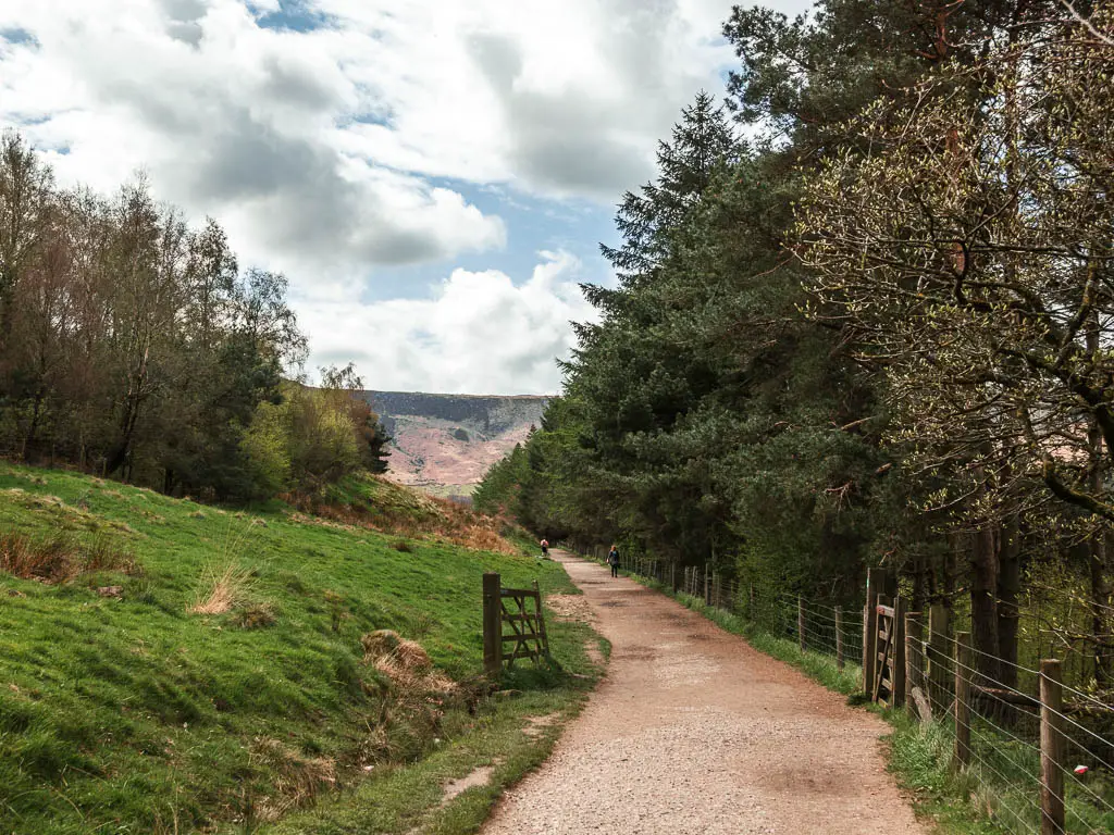 A wide trail with a grass hill to the left and woodland trees to the right. The path is lined with a wire and wooden fence on the right side.