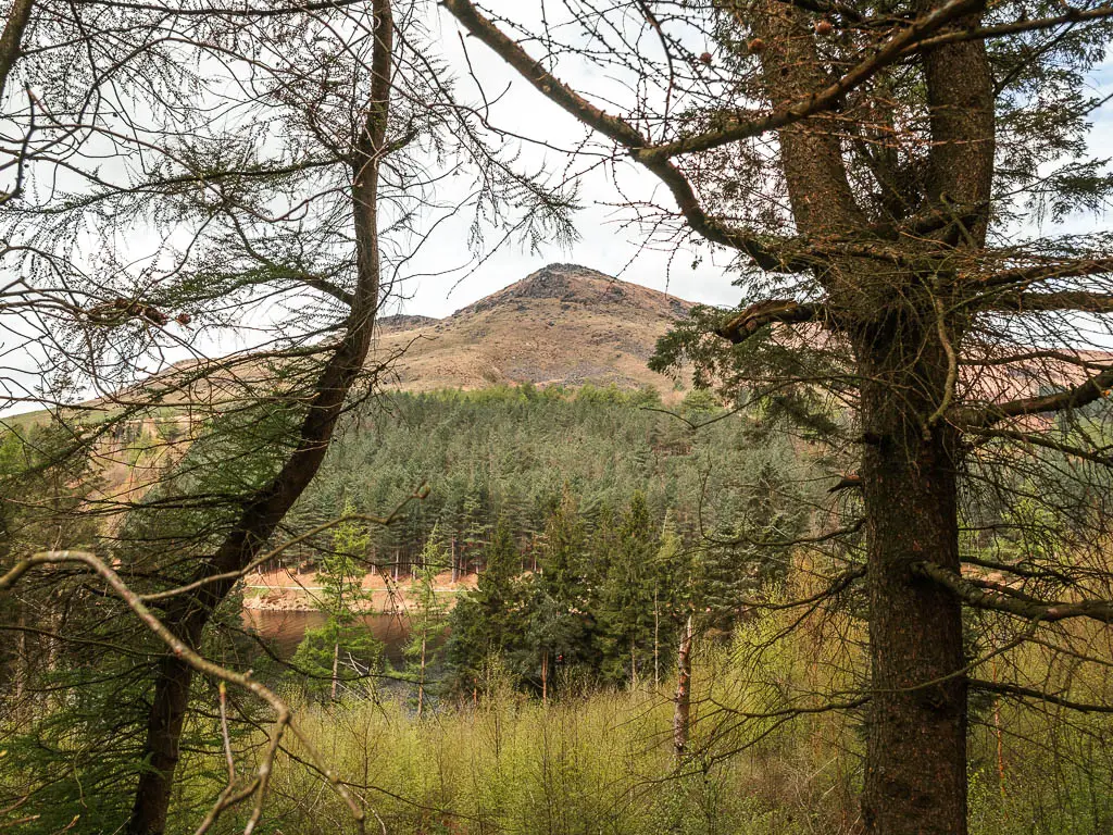 Looking through a gap in the trees to a pointy hill, with woodland trees below it.