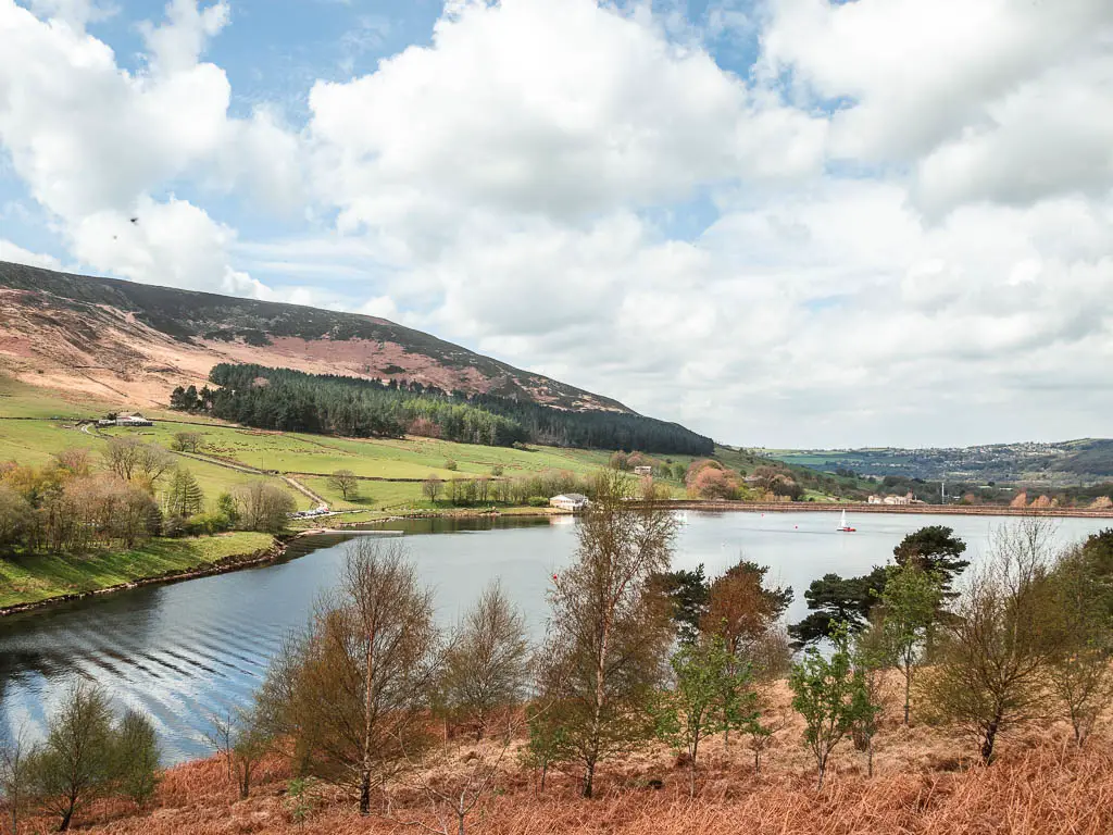 Looking down over a few small trees to the dovestone reservoir, near the end of the circular walk. There is a hill on the other side of the water.