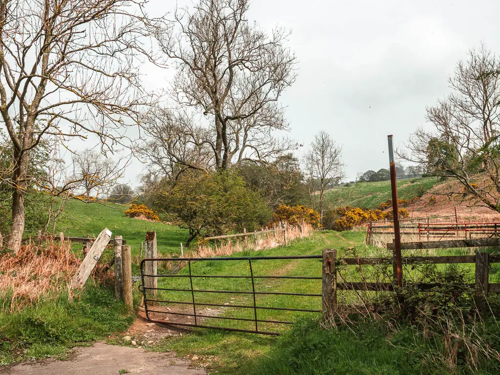 A metal gate leading to a grass path.