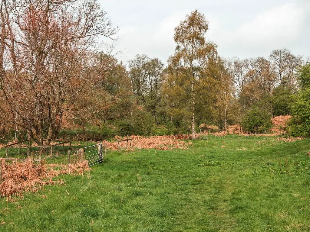 An open area of grass with trees ahead and to the left, and a metal gate on the left.