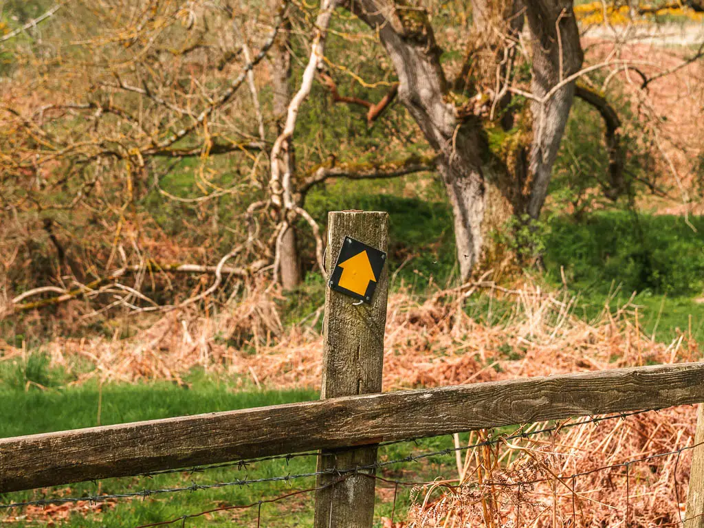 A yellow on a wooden post, pointing ahead to the right.