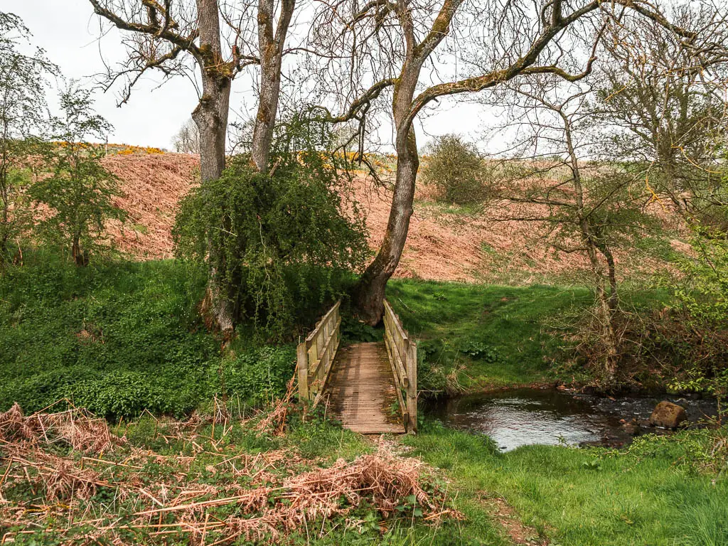 A wooden bridge over a stream of water on the circular walk to Druid's Temple. There is a tree straight on the other end of the bridge.