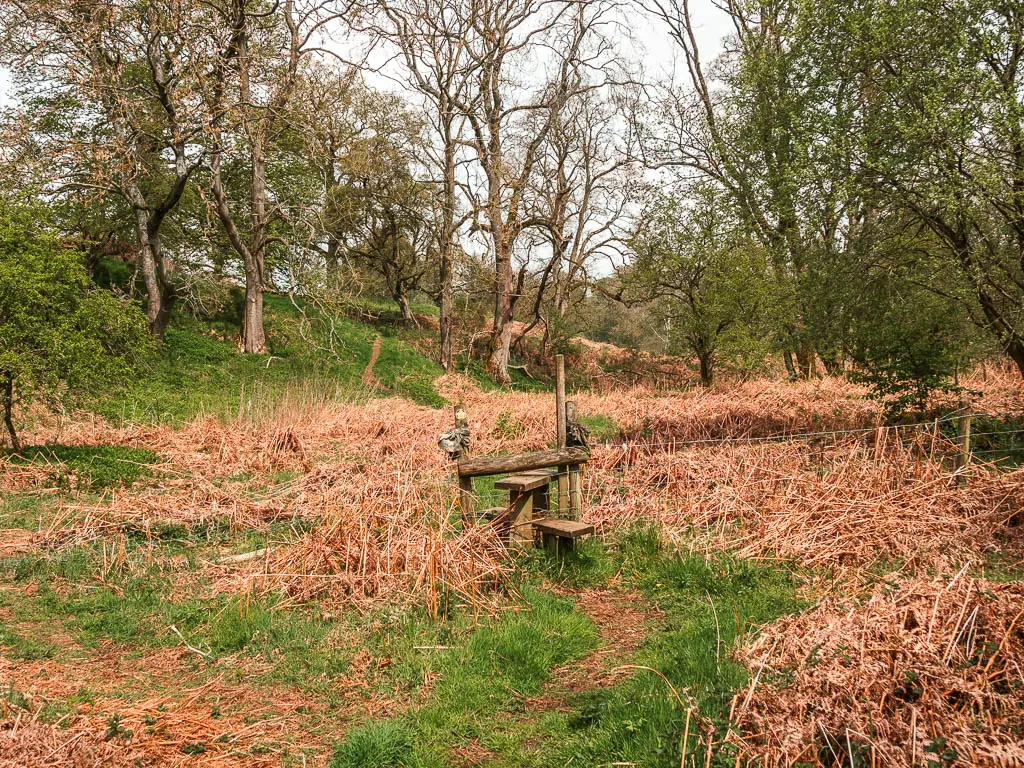 A wooden stile surrounded by dead orange fern.