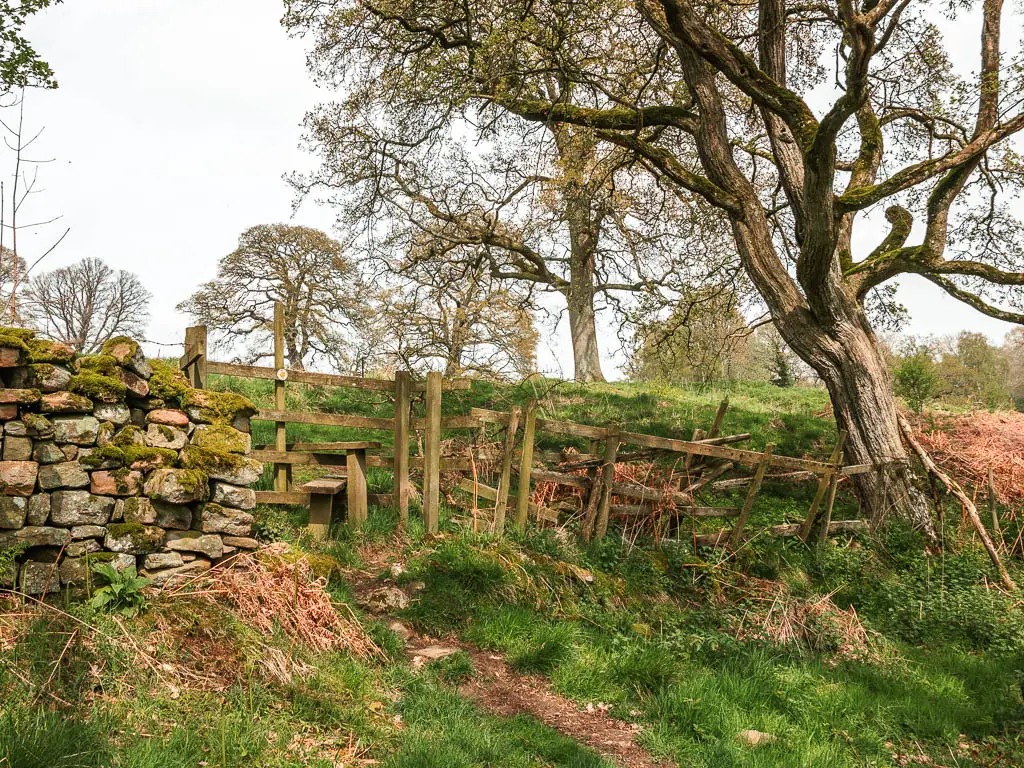 A dirt trial leading up to a wooden stile and broken down fence. 