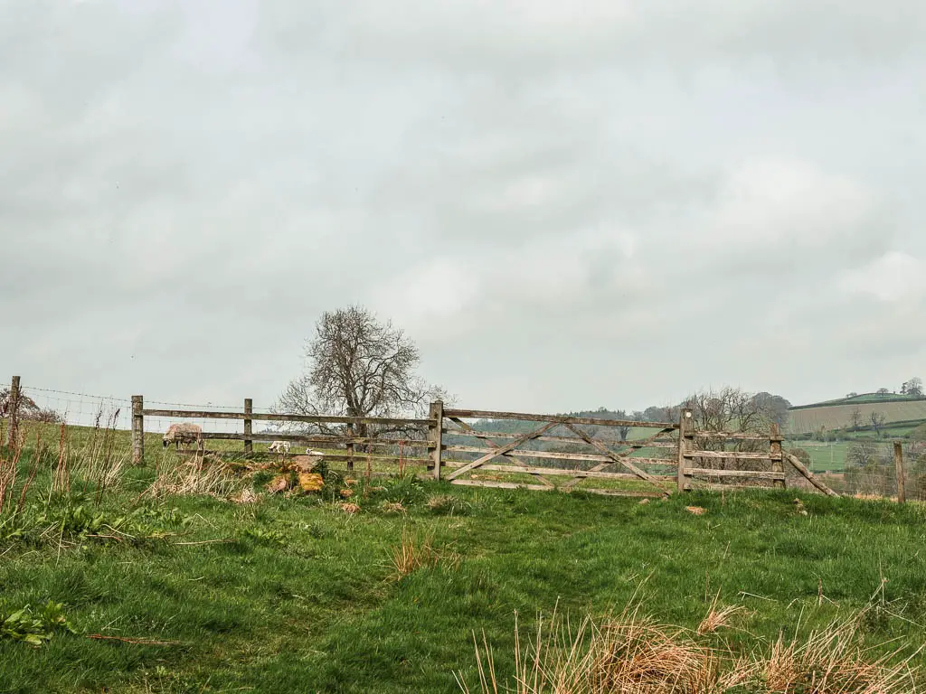 A wooden fence and gate ahead in the field.