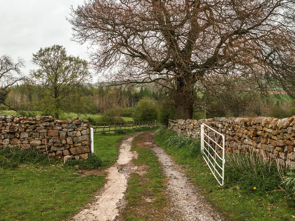 A road track leading through and open white gate, lined with stone walls.