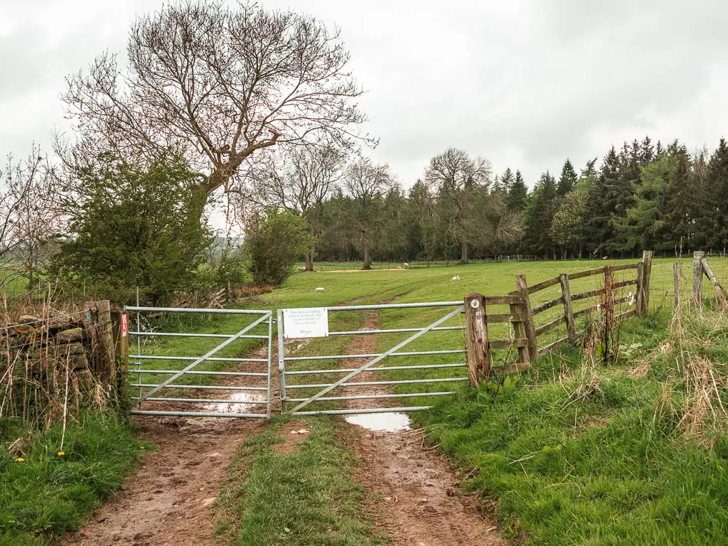 A dirt track leading through a metal gate and into a field.