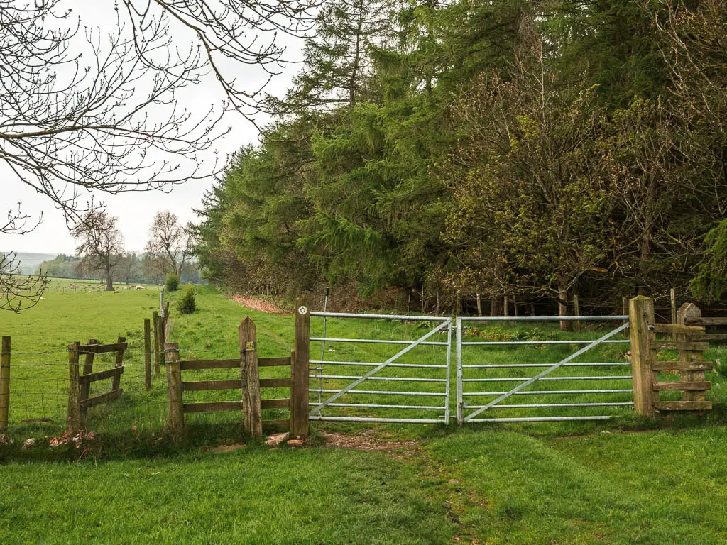 A metal gate leading to a grass trail. There is a mass of woodland trees on the right side of the trail.