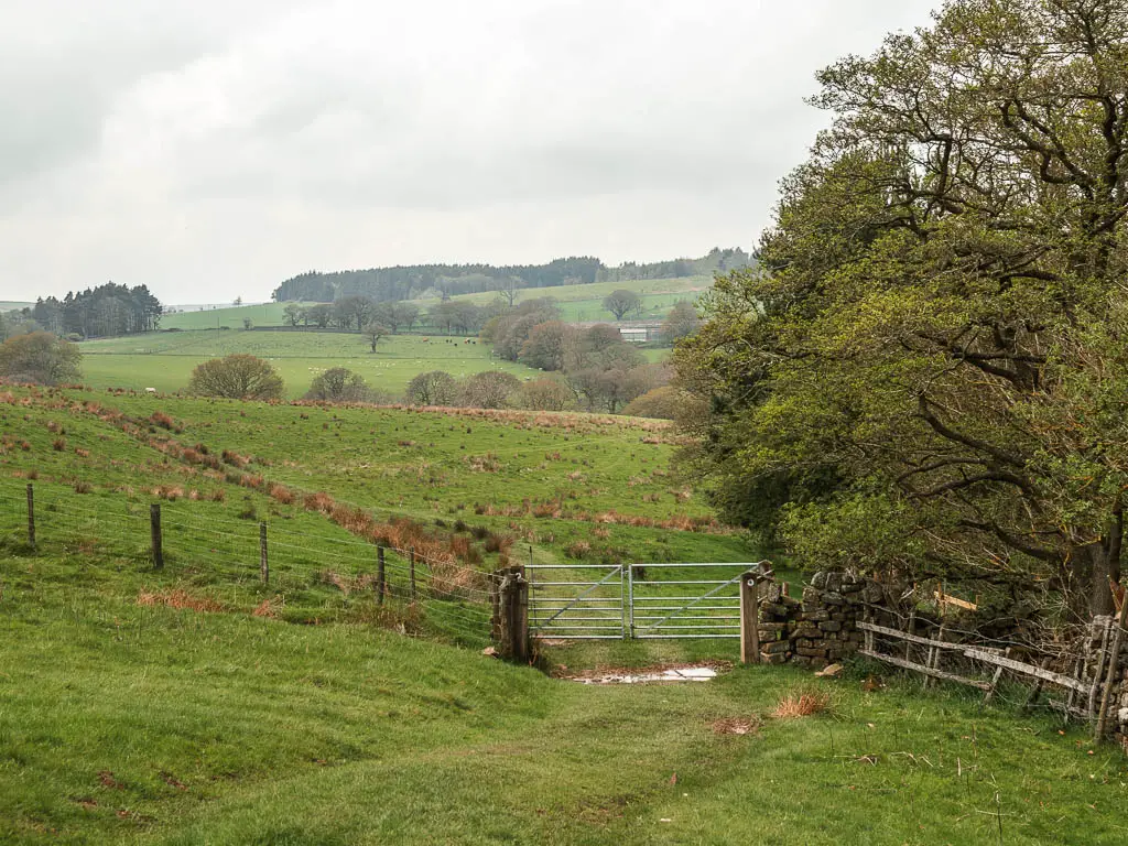 Looking down the grass hill, to a metal gate and fields of green on the other side. There is a big mass of trees on the right side.