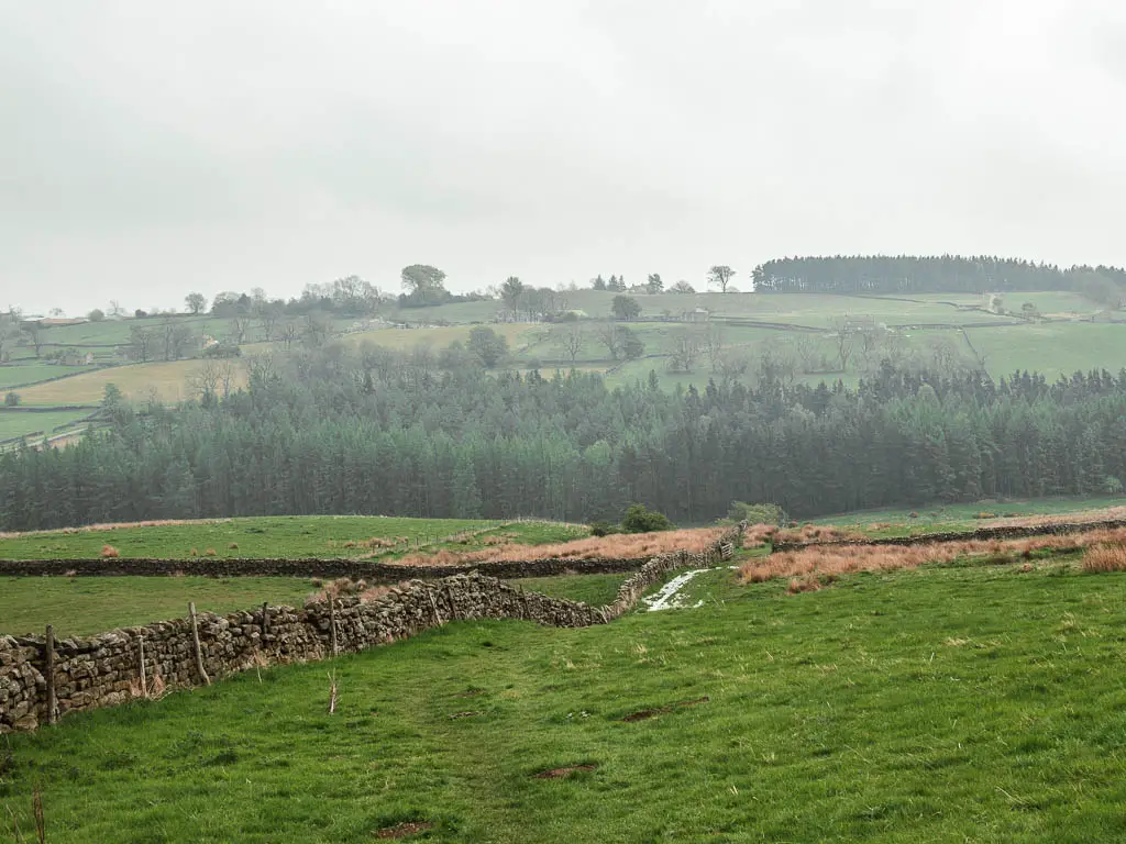 Looking down the grass hill field, with a stone wall running down the middle of it. There are woodland trees in the distance at the bottom of the hill.