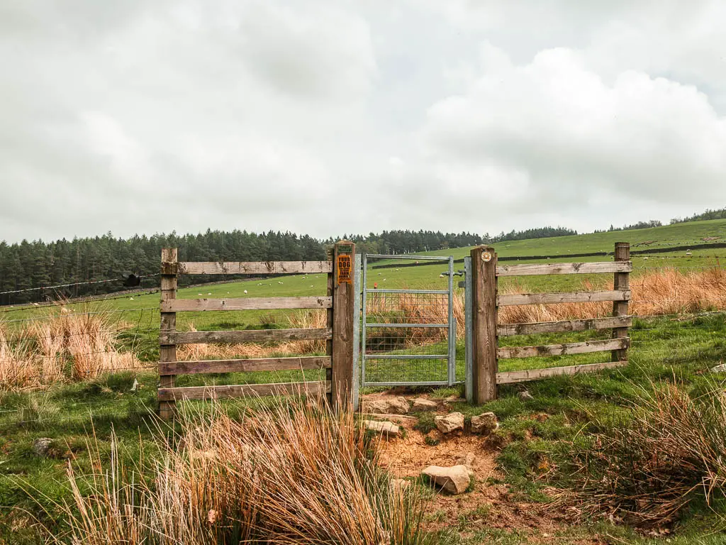 A small metal gate in the wooden and wire fence, leading to a field on the other side. There are tufts of hay grass around the fence. 