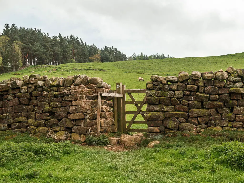 A small wooden gate in the stone wall, with a large grass field on the other side.